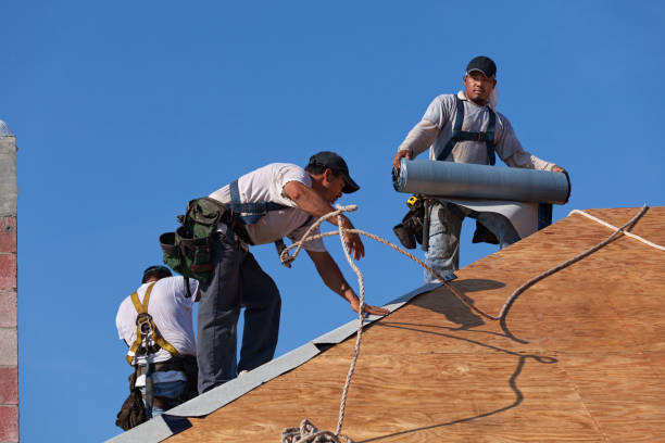 Best Metal Roofing Contractor  in Butler, GA