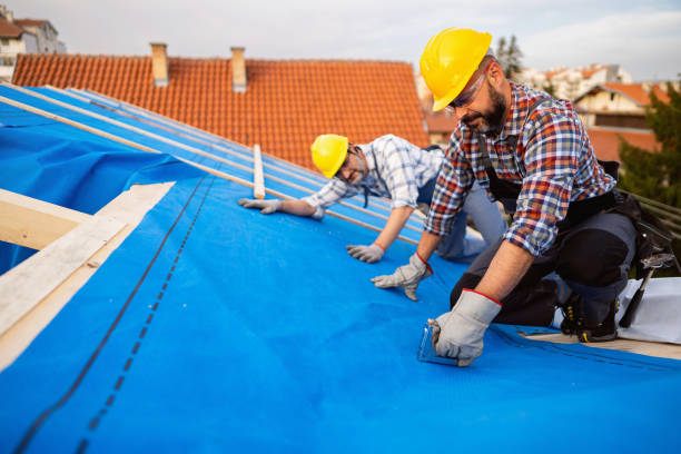 Best Roof Leak Repair  in Butler, GA